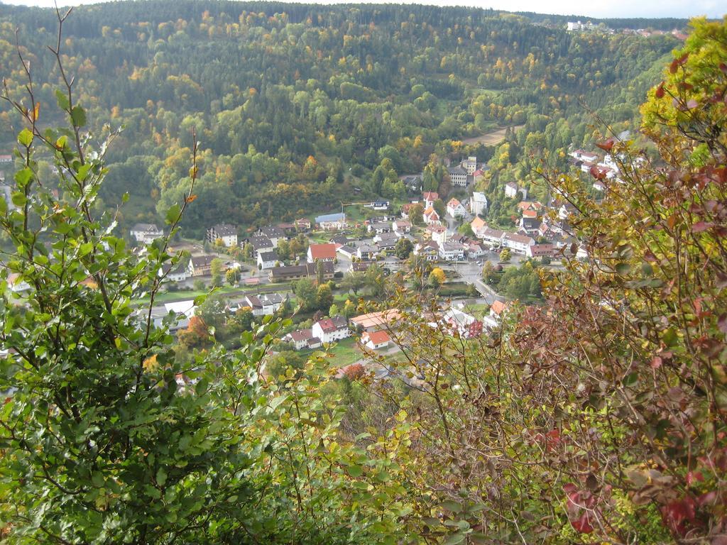 Gaestehaus Krone Oberndorf am Neckar Oda fotoğraf